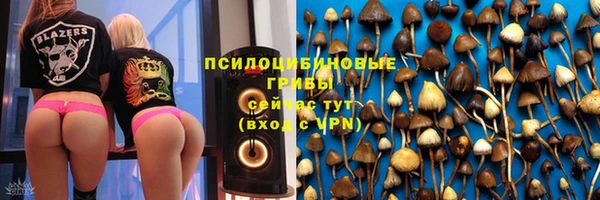 PSILOCYBIN Богданович